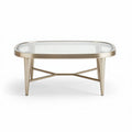Glazen salontafel met metalen frame 100 x 60 x 40cm voor in de woonkamer